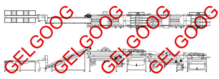 pomegranate washing machine structure