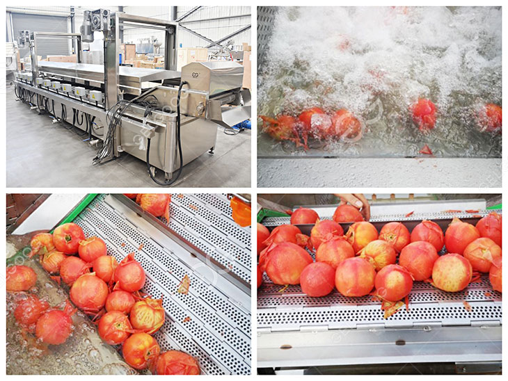 tomato blanching machine details