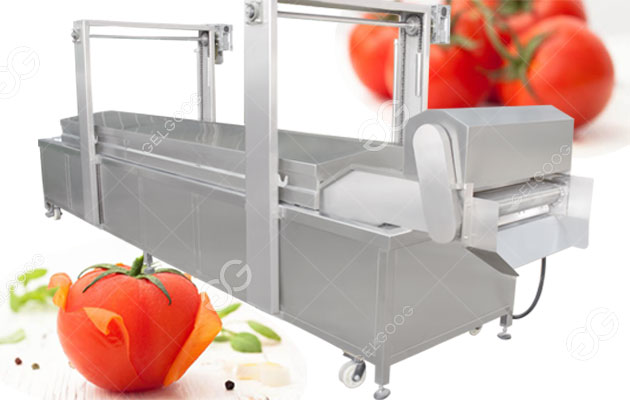 tomato blanching machine