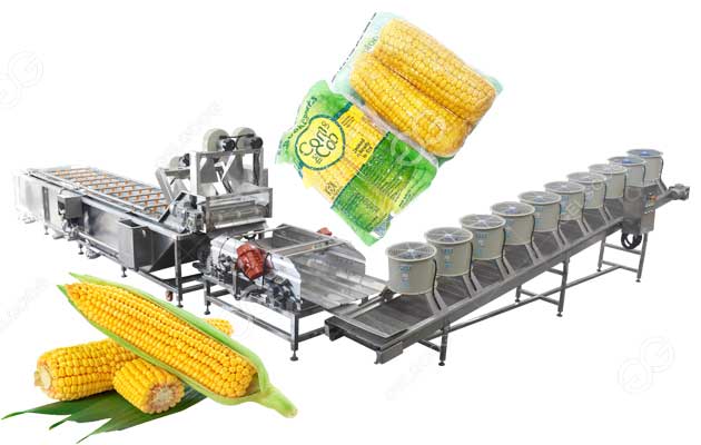 corn washing and drying line