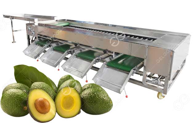 avocado sorting machine