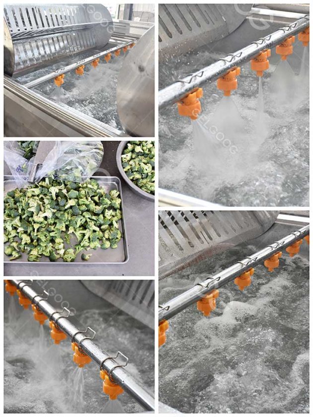 Stainless Steel Broccoli Florets Washing Machine Vegetable Washer