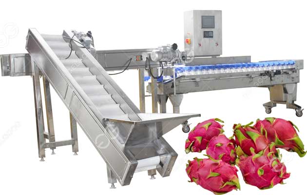 dragon fruit sorting machine