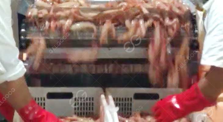 detail mesin cuci udang