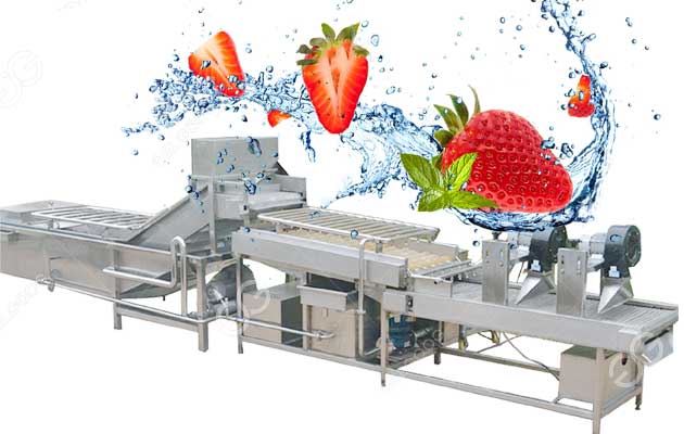 strawberry washing and drying line