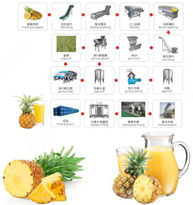 pineapple juice processing flow chart