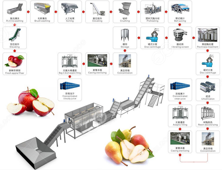 apple & pear juice processing flow chart