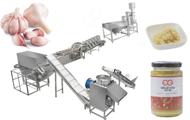 garlic paste processing plant