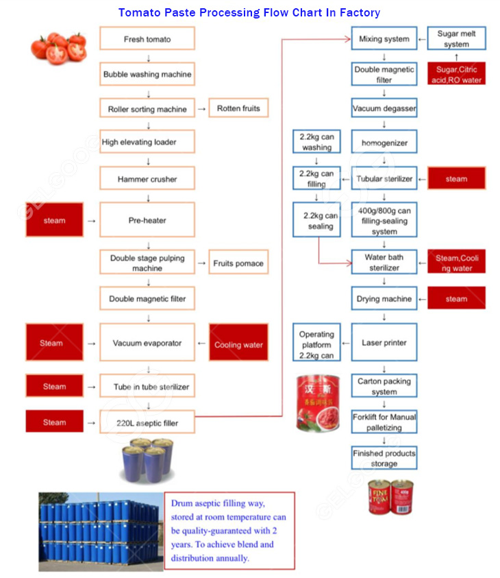 turkey tomato paste processing flow chart