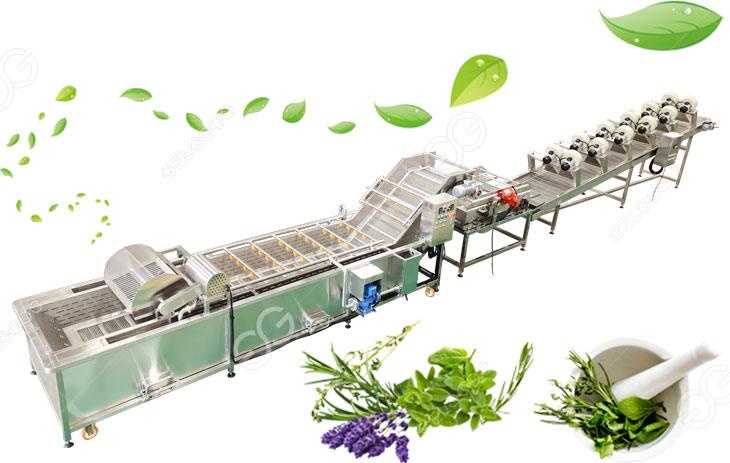 herbs leaves washing and drying line