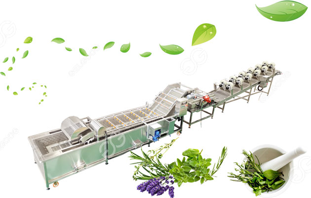 herbs washing and drying line