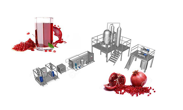 pomegranate-juice-processing-technology