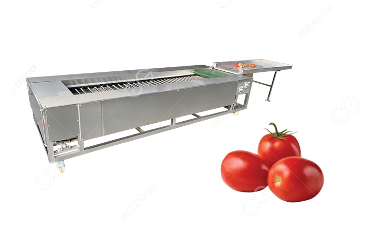 types of tomato sorting machine