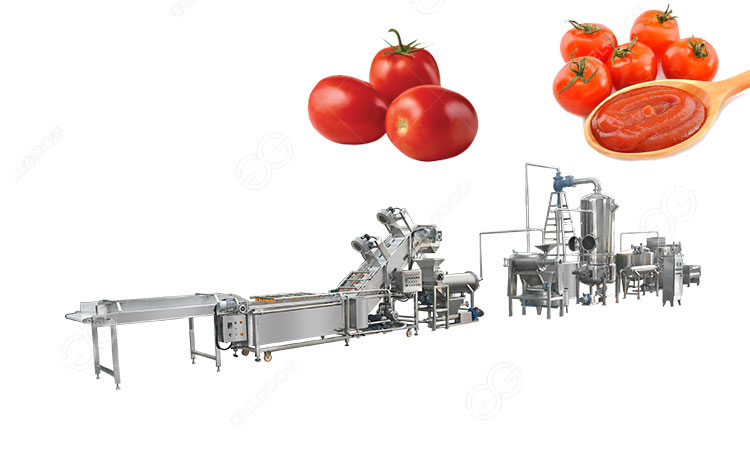 cost of small scale tomato processing plant