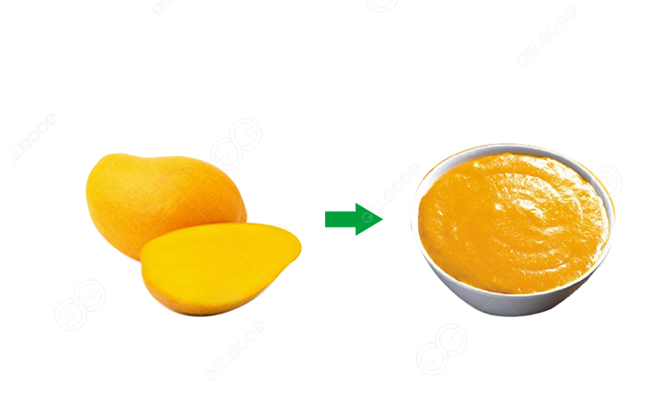 mango pulp processing