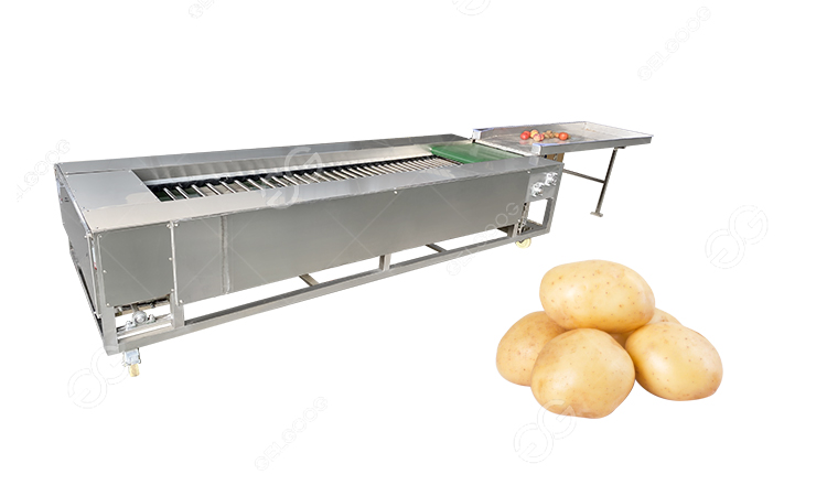 potato grading machine