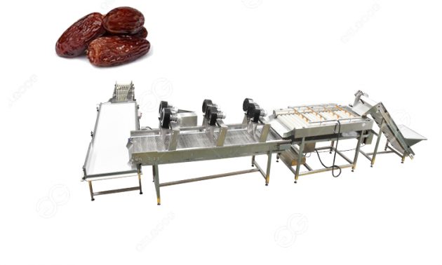 Dates Cleaning Machine Sold to Saudi Arabia - Professional Fruit And ...