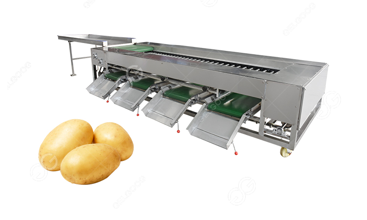 potato sorting machine cost