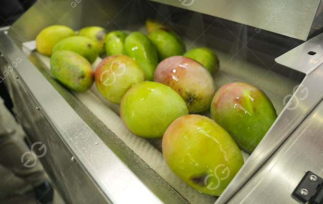 mango washing machine