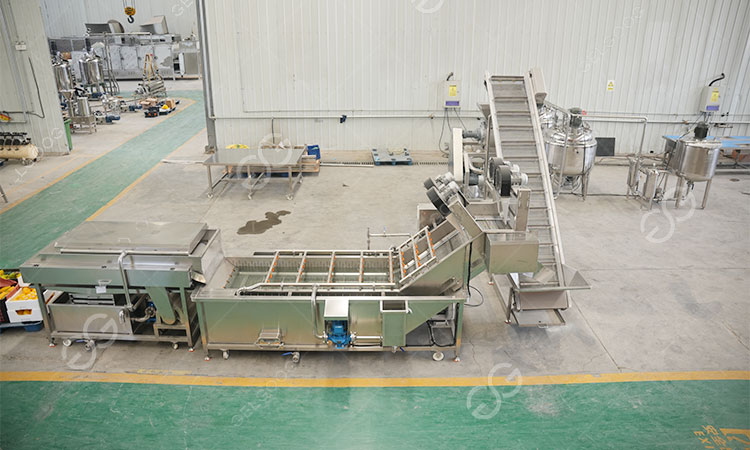 mango-processing-machines