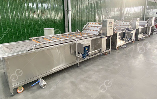 sour cherries cleaning machine