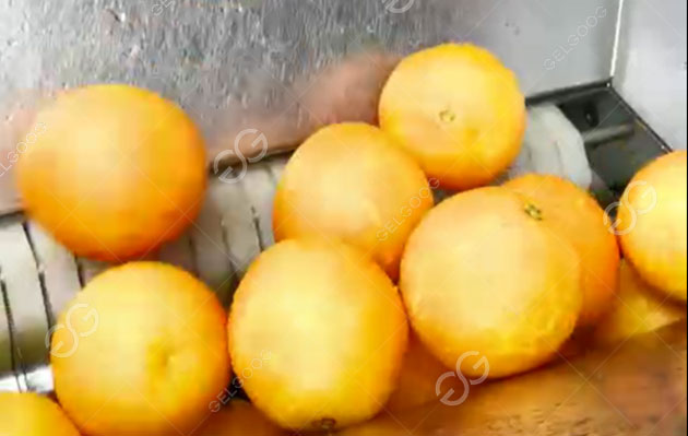orange juicing machine