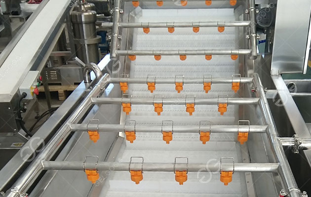 cherries cleaning machine