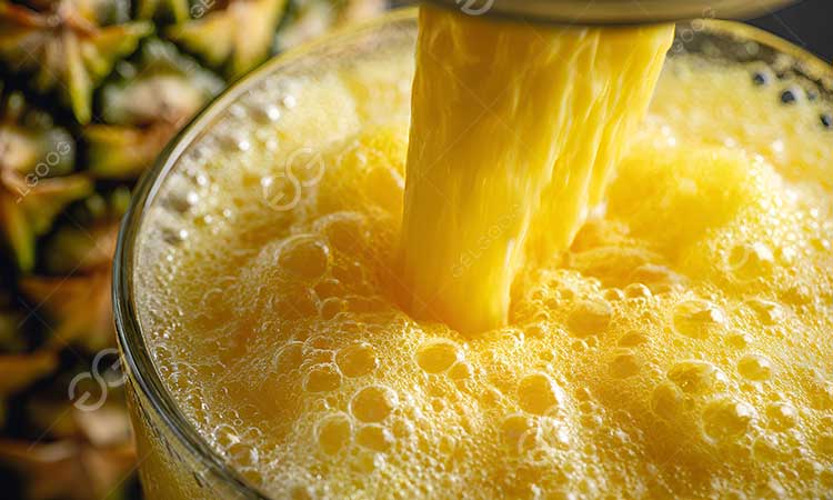 pineapple juice machine