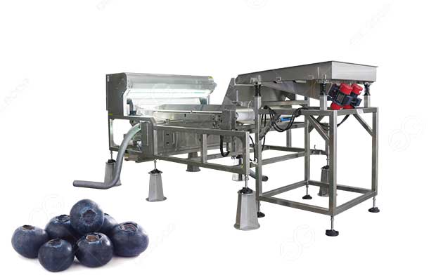 blueberry color sorter