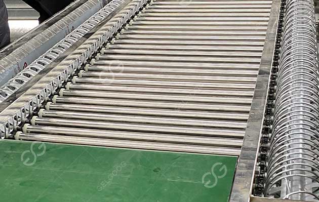 blueberry sorting machine