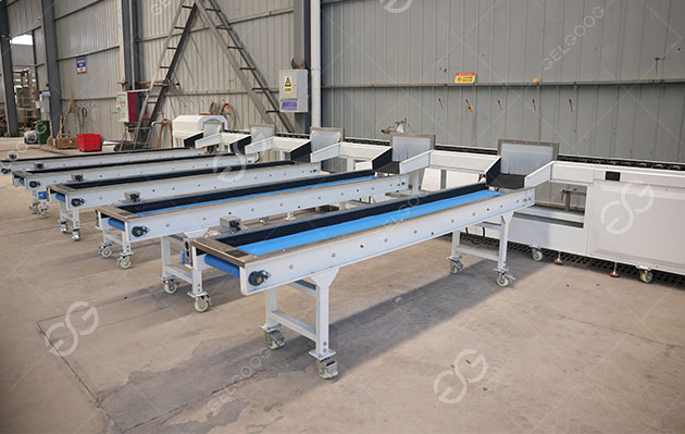 citrus fruit sorting machine