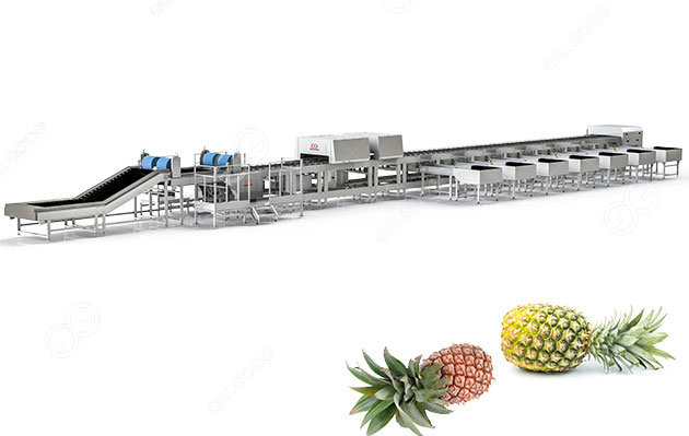 pineapple sorting machine