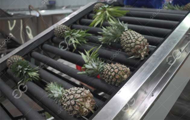 pineapple cleaning machine