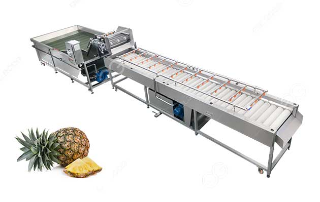 Pineapple washing machine