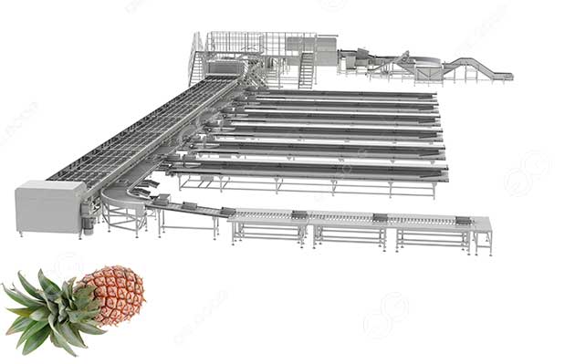 fruit quality sorting machine