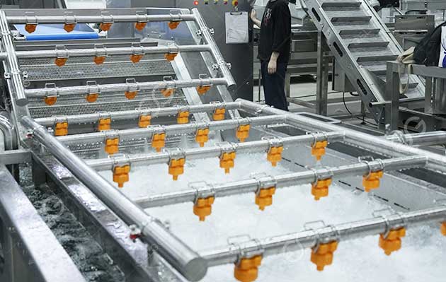 prunes cleaning machine