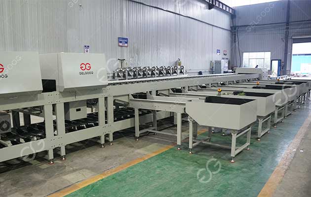 pineapple optical sorter