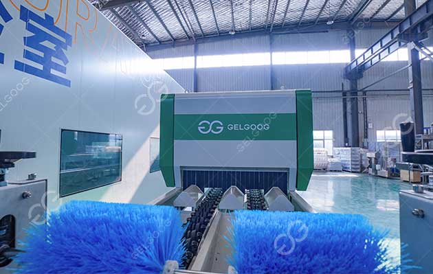 pineapple sugar sorting machine