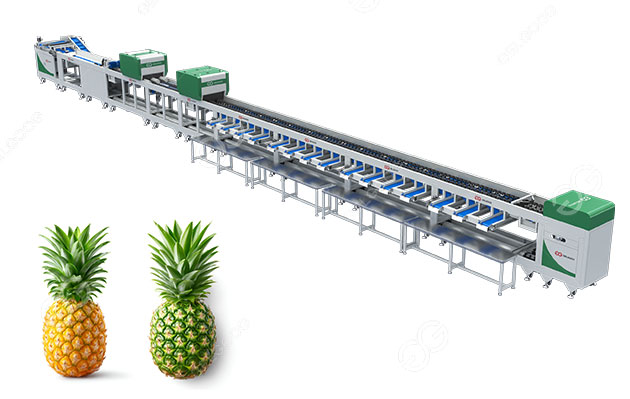 Fruit Pineapple Sugar&Quality Sorting Machine