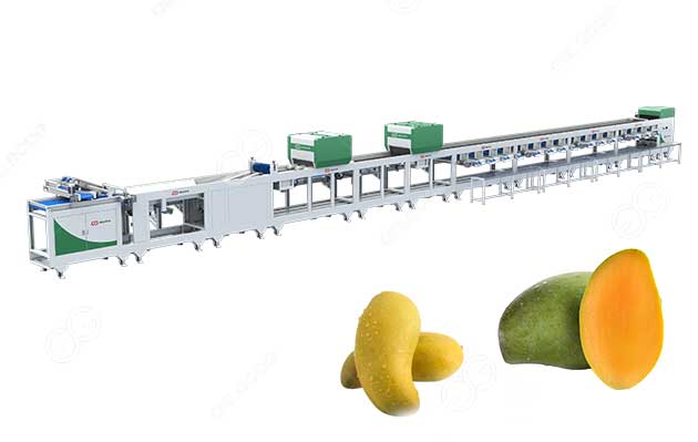 mango sorting machine