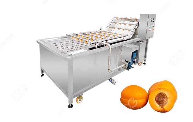 prunus armeniaca washing machine
