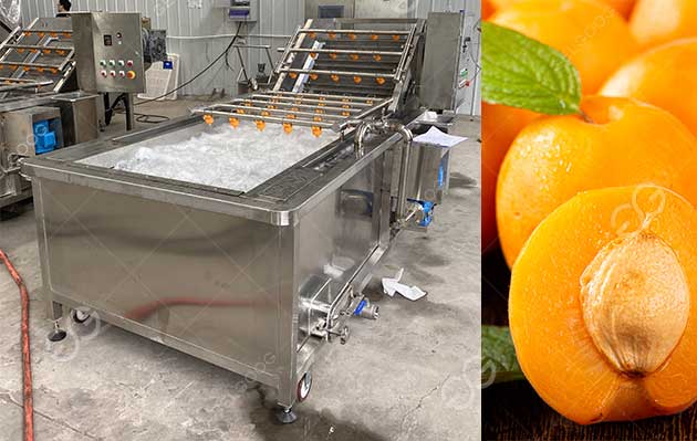 prunus armeniaca washing machine