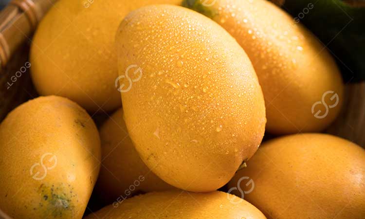 mango