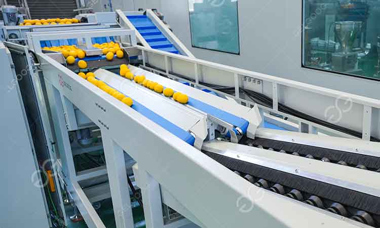 Lemon juice processing factory