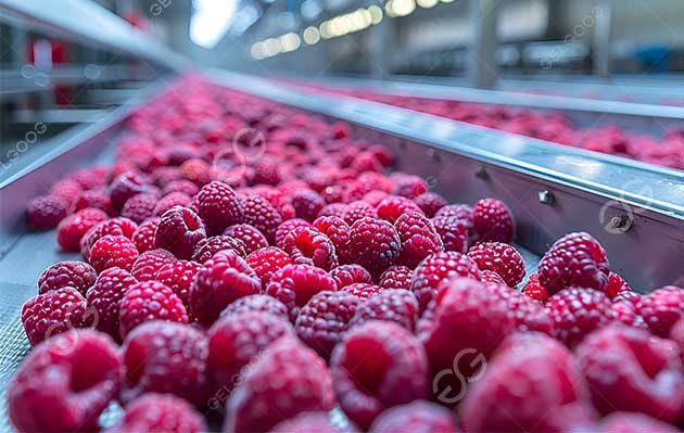 Raspberry frozen machine