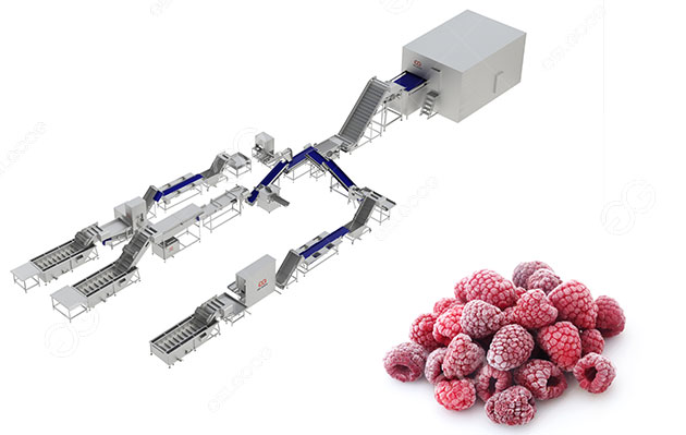 frozen raspberry processing line