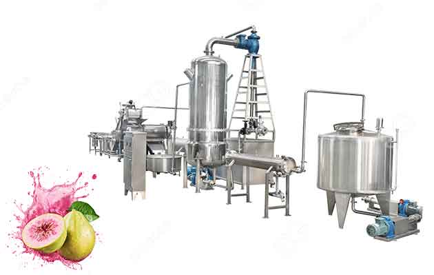 guava juice processing plant