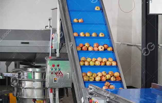 guava juice processing factory