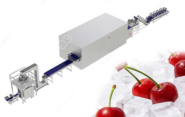 freeze cherries processing line