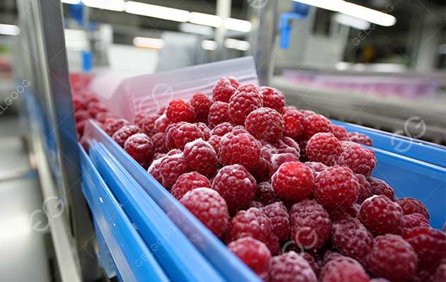 cherry freezing machine